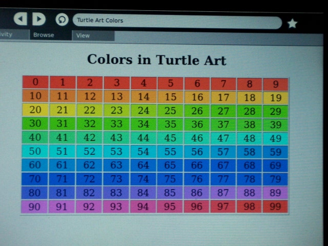 Pic of turtle art colors on xo.jpg