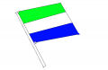 Sierra Leone Flag Paint.PNG