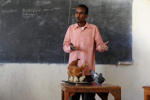 Somaliteacher.jpg