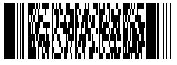Example 2D Barcode in PDF417 format