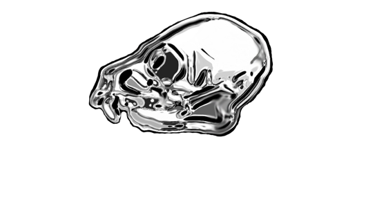 Skull.png