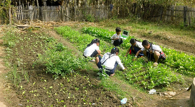 Olpc Cambodia girl-s-weed-boy-records-plant-stages.jpg