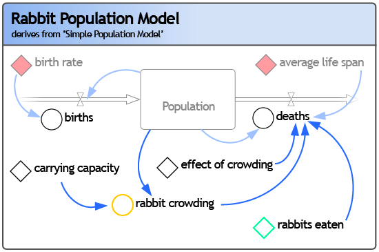 Rabbit Model mockup