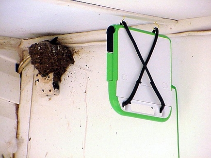 MotionDetection-swallow-nest-one-mounting.jpg