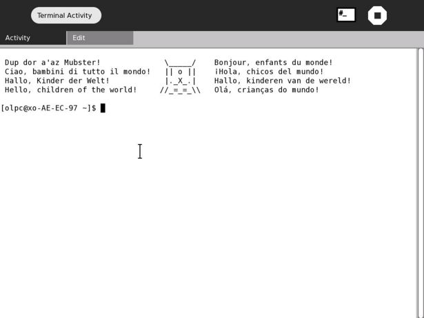 Terminal-screenshot-1.jpg