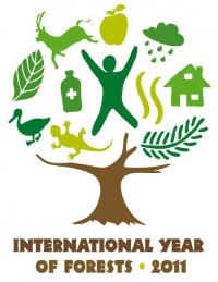 2011iyf-Logo.jpg